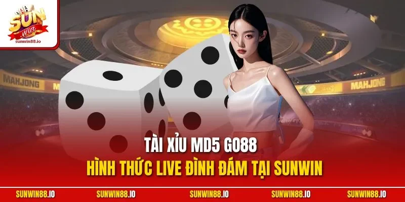 Tài Xỉu MD5 Go88 | Hình Thức Live Đình Đám Tại Sunwin 1 Sunwin Tài Xỉu MD5 Go88 | Hình Thức Live Đình Đám Tại Sunwin